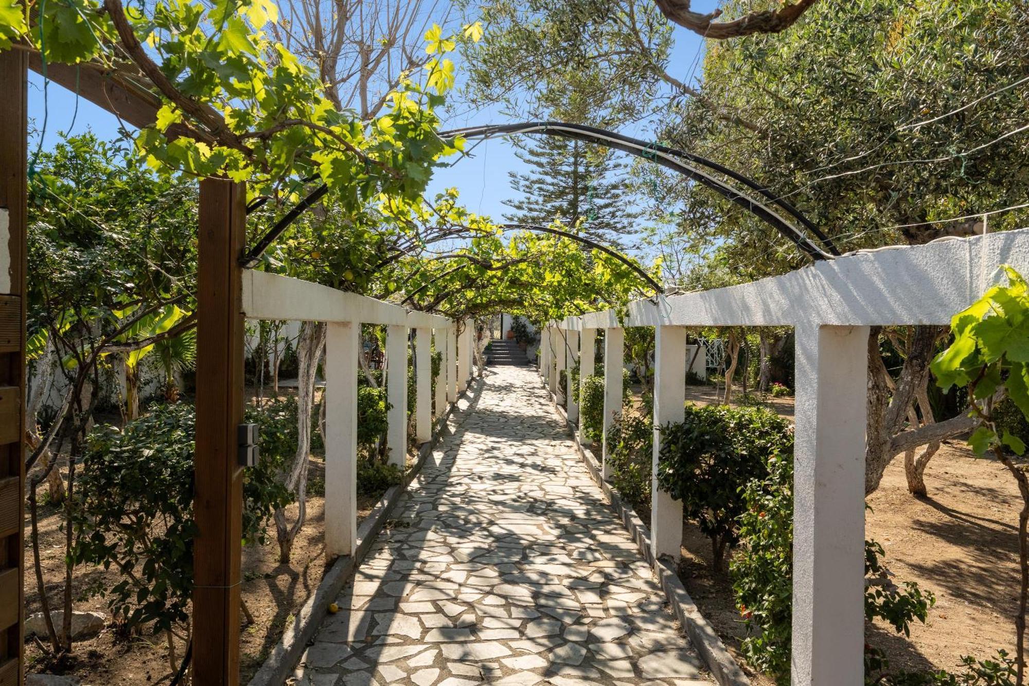 Ariadni Apartments Faliraki Ngoại thất bức ảnh